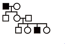 <p>sex-linked, recessive:</p>