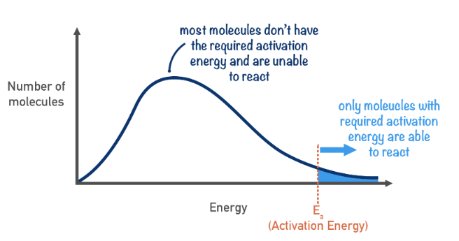 <ul><li><p>A graph that shows the kinetic energy range of particles in a substance</p></li></ul><ul><li><p>Higher temperatures lead to an increase in an energy, hence a <strong>much greater proportion</strong> of particles have &gt;= activation energy</p></li></ul><p></p>