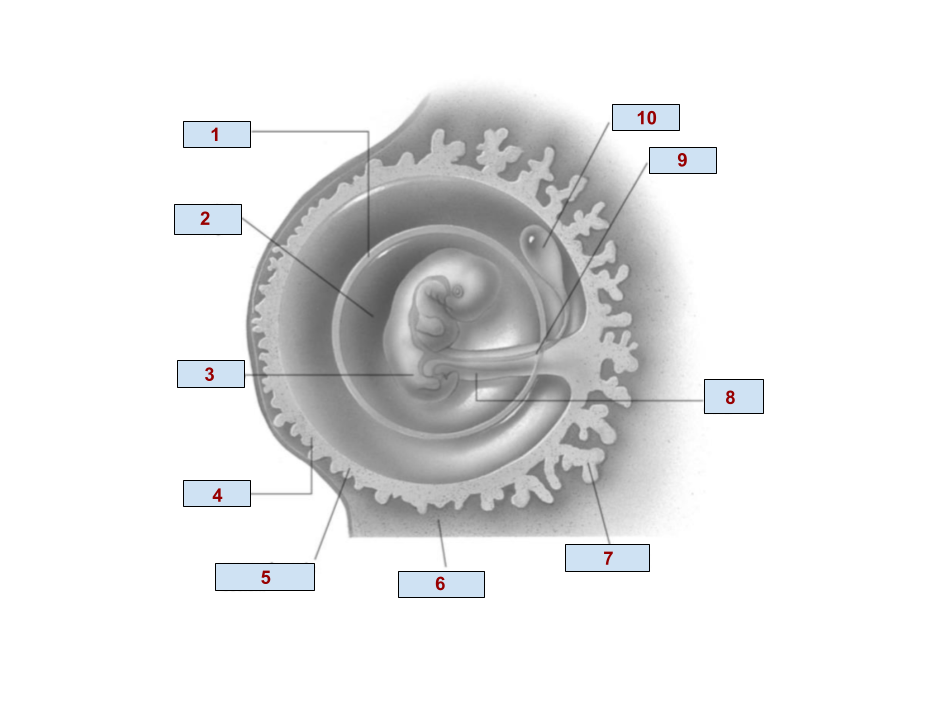 <p>8</p>