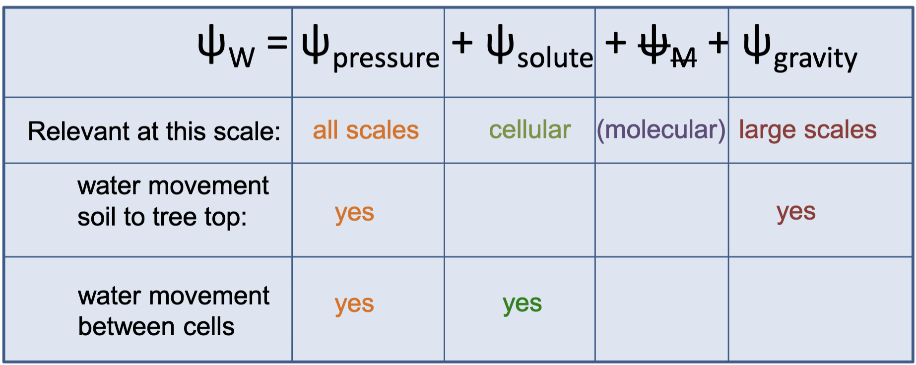 <p>Pressure potential drives movement of water over long distances and at the cellular level in the xylem and phloem</p><p>Solute potential only matters at the cellular level (specifically for phloem, not xylem)</p>