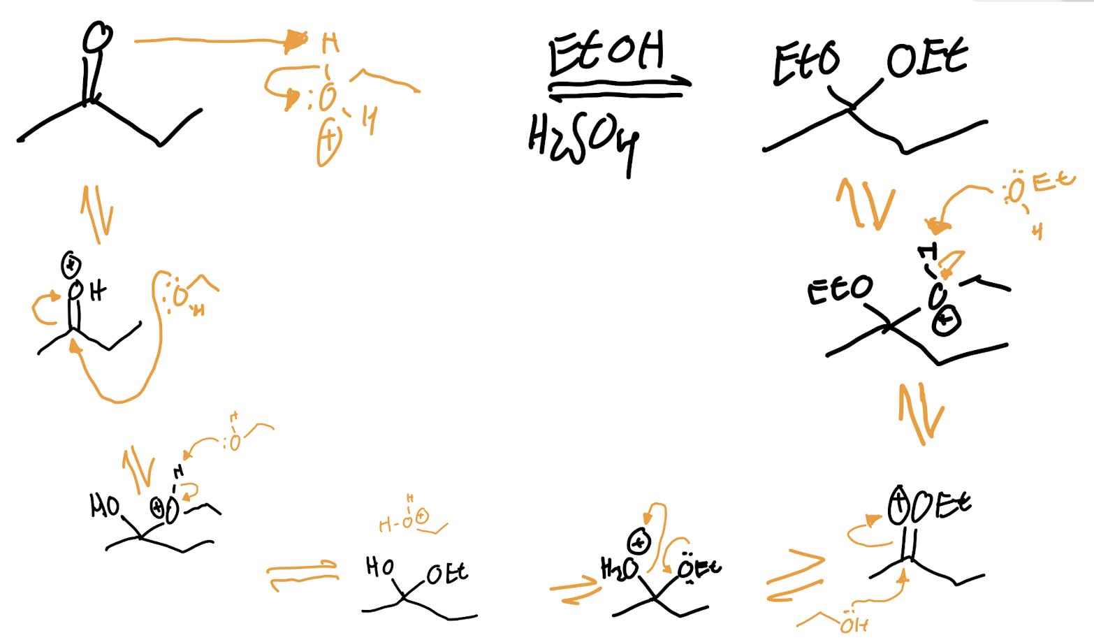 <p>Oxygen Nucleophile - Acetal Formation</p>