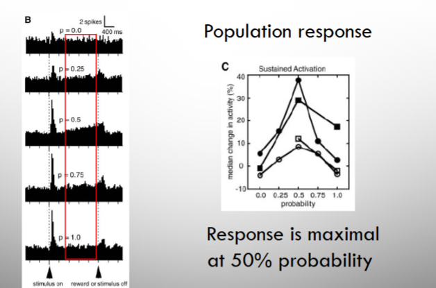 <p>subset of neurons with a differential <strong>response during the time between the cue and reward</strong> with the response betwen <strong>maximal at 50% probability.</strong></p><p></p><p><strong>these neurons encodes probability of reward outcome</strong></p>