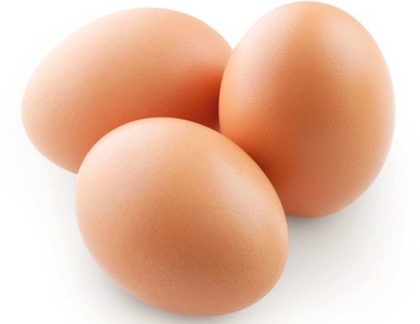 <p>eggs</p>