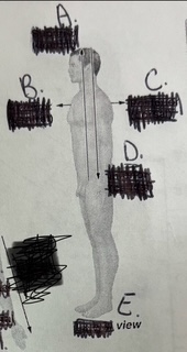 <p>E Directional Term</p>