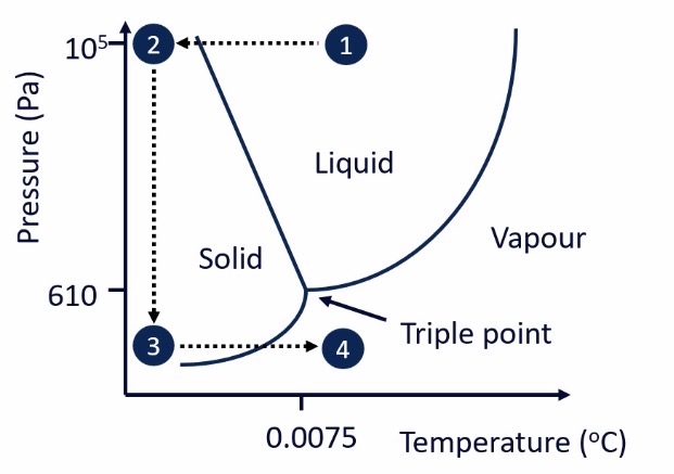 <ul><li><p>Based on the fact that water has a <strong>triple point</strong> - where solid, liquid and gas intersect</p></li><li><p>Water is able to go <mark data-color="yellow" style="background-color: yellow; color: inherit;">straight from a solid to a gas = sublimation</mark></p></li></ul><p></p><ul><li><p><strong>Solution/suspension</strong> inserted into freeze dryer at <mark data-color="green" style="background-color: green; color: inherit;">atmospheric pressure (10<sup>5</sup> Pa)</mark> and <mark data-color="green" style="background-color: green; color: inherit;">room temperature</mark> » <strong>point 1 </strong>on the diagram</p></li><li><p>Under these conditions, water is a liquid </p></li><li><p>The sample is <mark data-color="yellow" style="background-color: yellow; color: inherit;">frozen</mark> » <mark data-color="green" style="background-color: green; color: inherit;">reduce temperature, keep pressure the same</mark> » <strong>point 1 to point 2</strong></p></li><li><p>A <mark data-color="yellow" style="background-color: yellow; color: inherit;">vacuum</mark> is initiated, causing <mark data-color="green" style="background-color: green; color: inherit;">pressure to drop below 610Pa</mark> » <strong>point 2 to point 3</strong></p></li><li><p><mark data-color="green" style="background-color: green; color: inherit;">Increase temperature back to room temperature</mark> » <strong>point 3 to point 4</strong></p></li><li><p><strong>Frozen water sublimes and becomes a gas, which is removed </strong></p></li></ul><p></p><p><u>Advantages:</u></p><ul><li><p><span><span>No rise in temperature, so good for heat sensitive samples </span></span></p></li><li><p><span><span>Makes highly porous, amorphous material = very fast dissolution</span></span></p></li></ul><p></p><p><u>Disadvantages:</u></p><ul><li><p><span><span>Expensive to operate</span></span></p></li><li><p><span><span>Small samples (usually in glass vials)</span></span></p><p></p></li></ul><p></p>