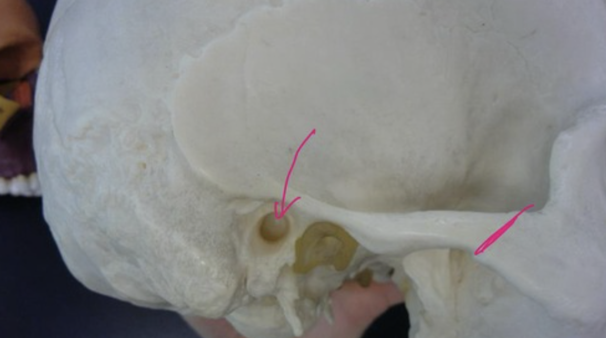 <p>What is this?</p>