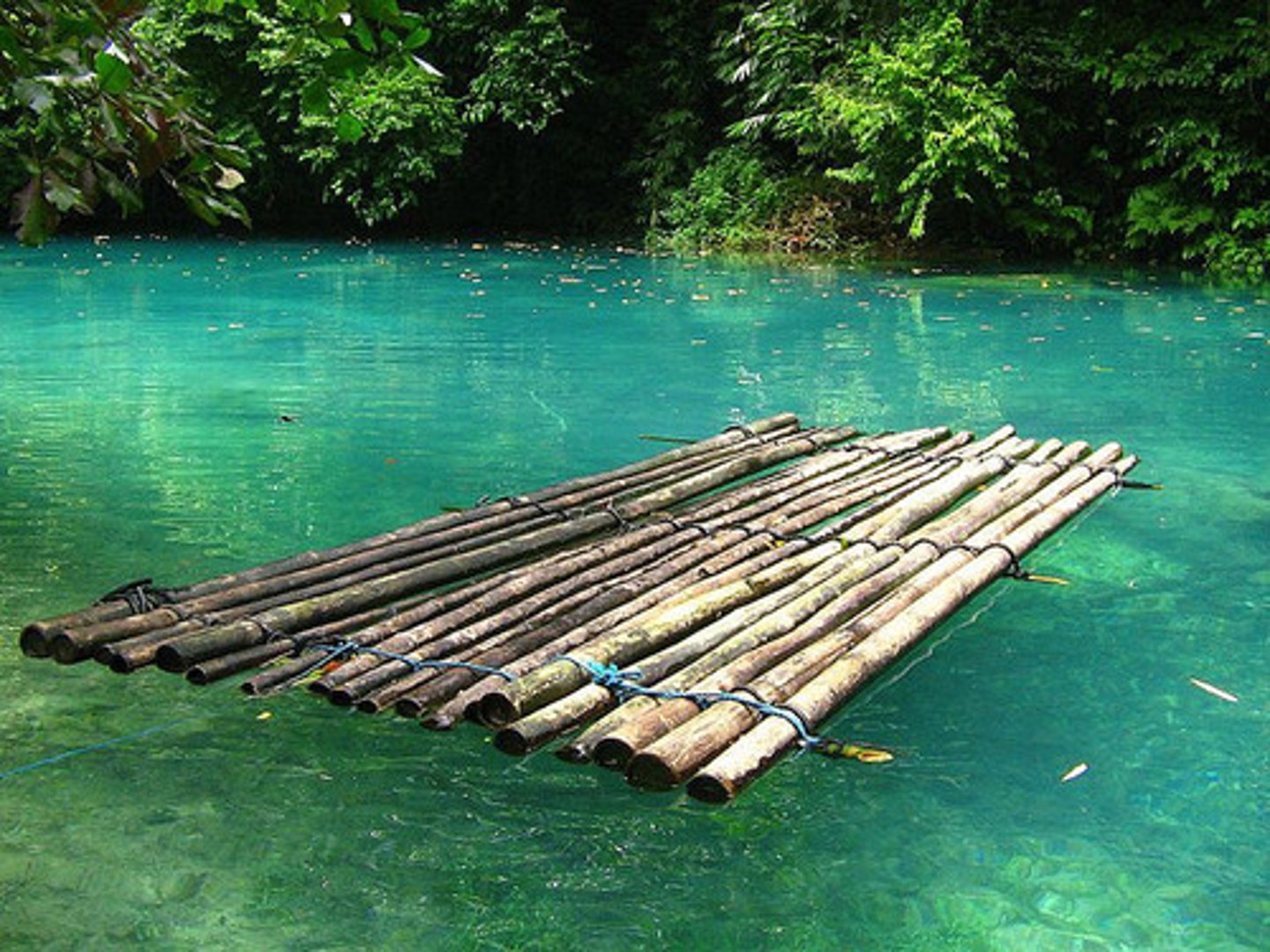 <p>la balsa</p>
