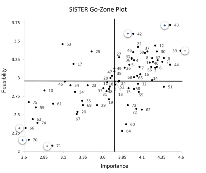 <p>a rating activity to determine which strategies they felt were most feasible and important - Go Zone reflects those determined to be high on both dimensions</p><p></p>