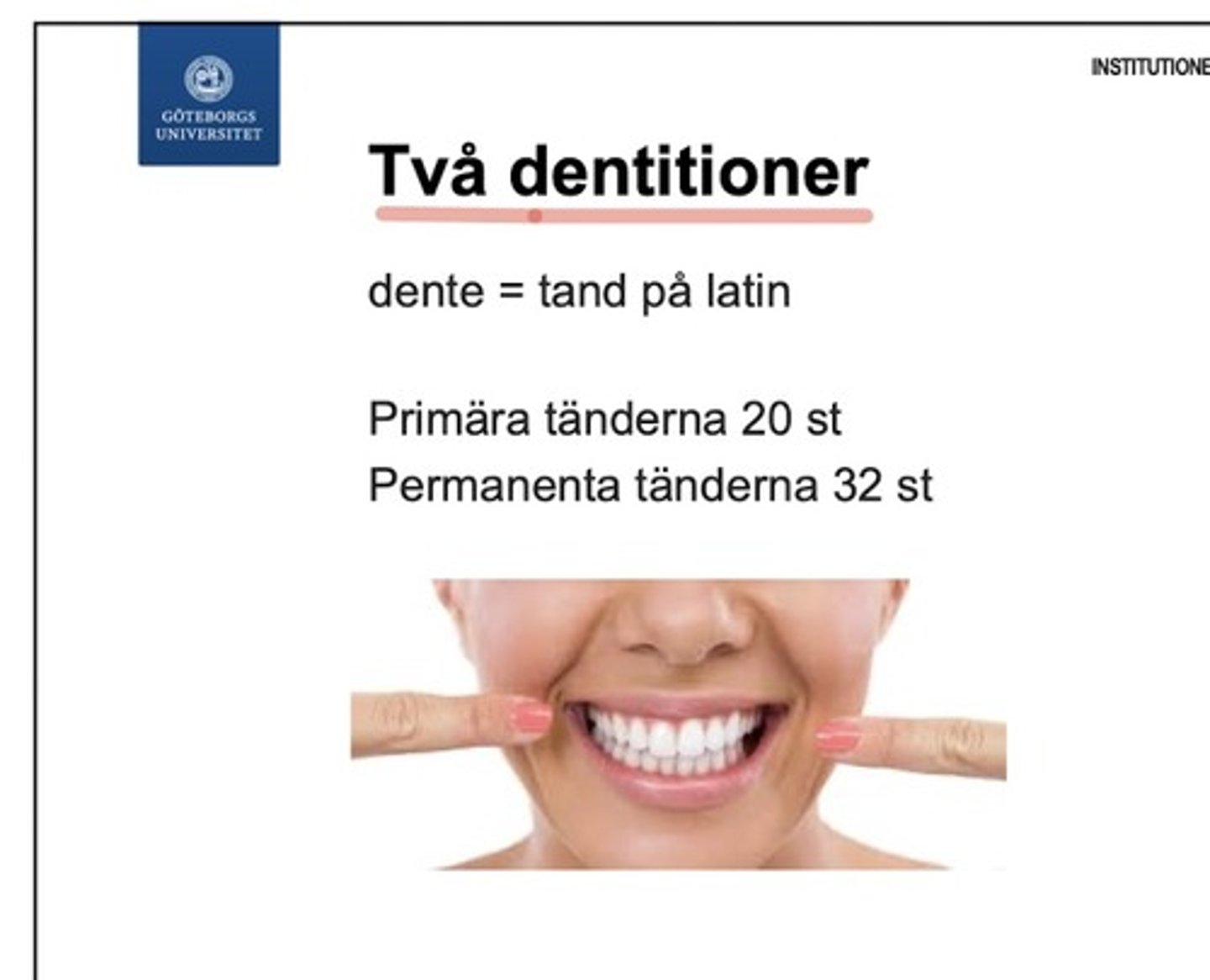 <p>- 20 st primära (51-55 , 61-65 , 71-75 , 81-85)<br>- 32 st permanenta (11-18 , 21-28 , 31-38 , 41-48)<br>- innebär att tänderna på exv högra maxilla inte kan ersätta tänderna på vänstra maxillan</p>