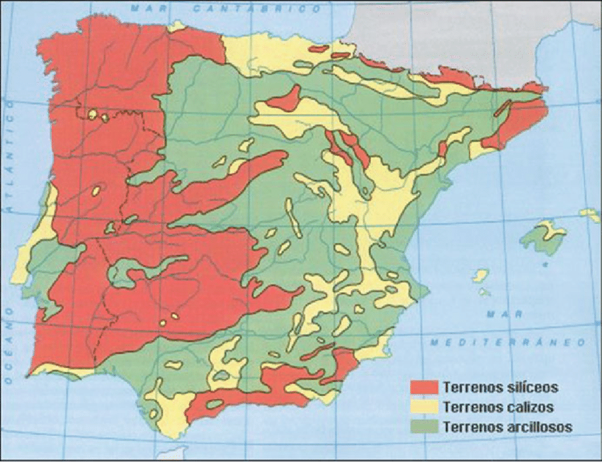 <p>-area silicea(relieve granitico)</p><p>-area caliza(relieve kárstico)</p><p>-area arcillosa relieve volcanico</p>