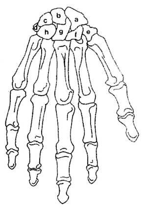 <p>What is A?</p>