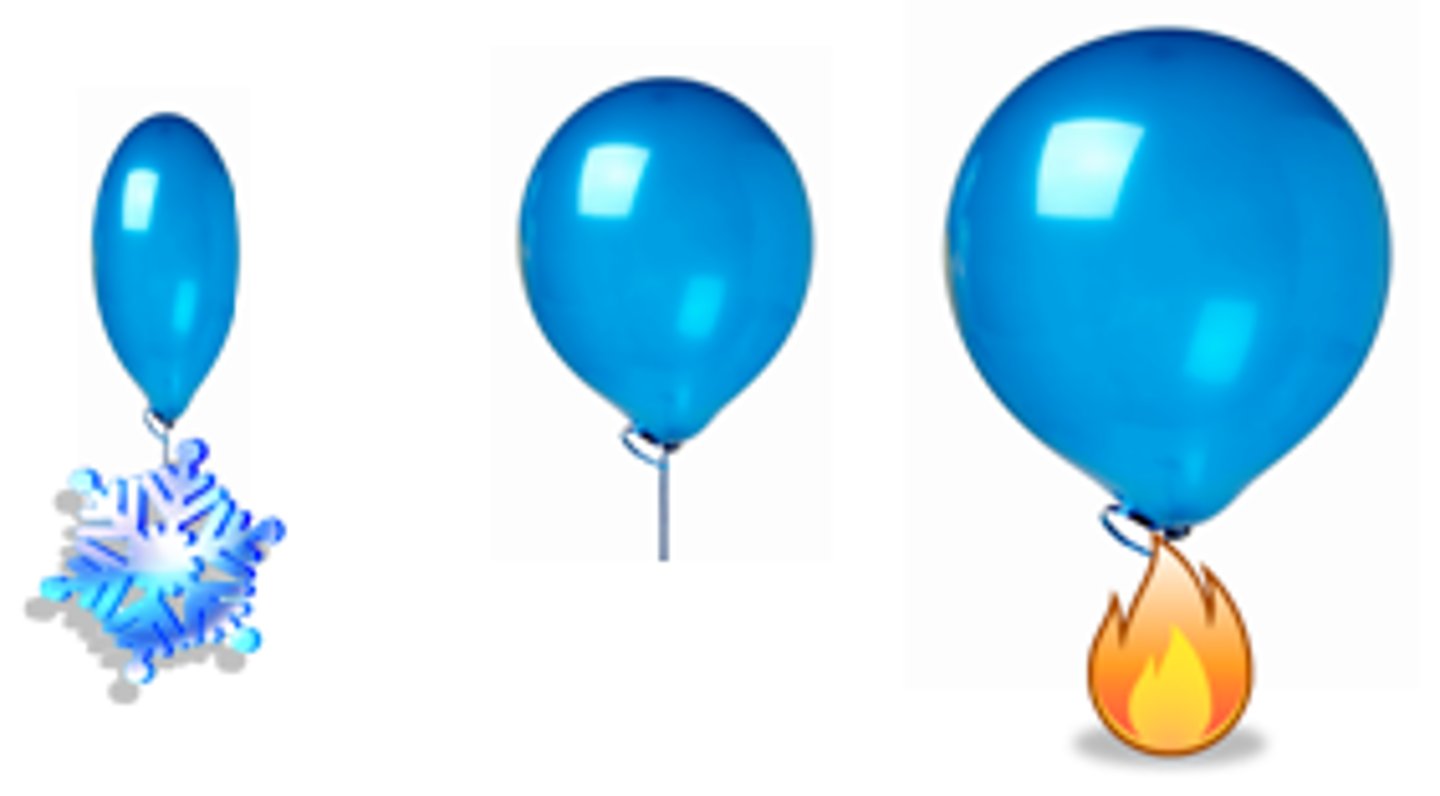 <p>Particles stay the same size, but move closer together, causing the substance to contract</p>