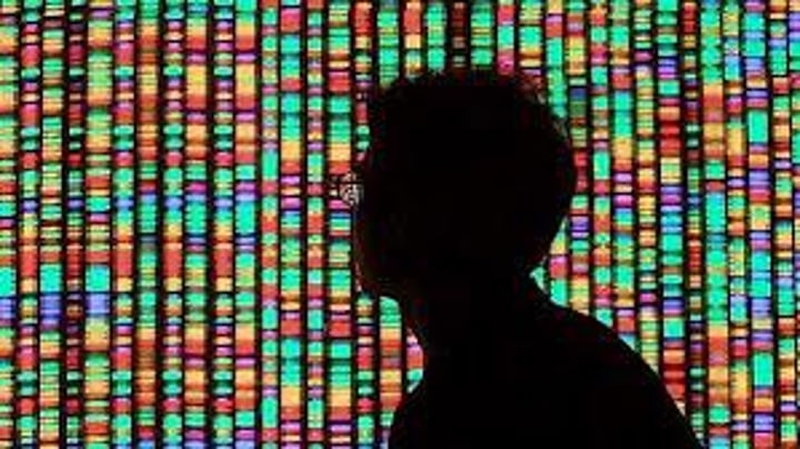 <p>A research effort undertaken to sequence all of our DNA and locate within it all of the functionally important sequences, such as genes.</p>