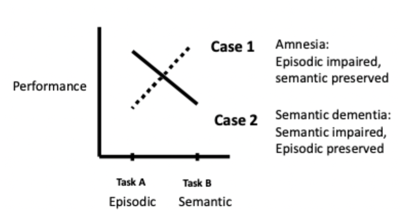 <ul><li><p>amnesia vs semantic dementia</p></li><li><p>in amnesia: episodic impaired, semantic preserved</p></li><li><p>in semantic dementia: semantic impaired, episodic preserved</p></li></ul><p></p>