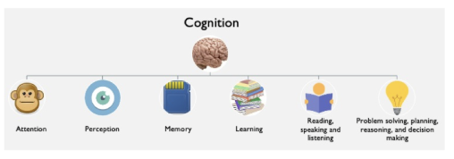<p>more emphasis on cognitive aspects of the tasks. this approach aims at analyzing and understanding cognitive processes to perform the task</p><p><strong>some factors:</strong></p><ul><li><p>memory</p></li><li><p>attention</p></li><li><p>cognitive load</p></li></ul><p></p>