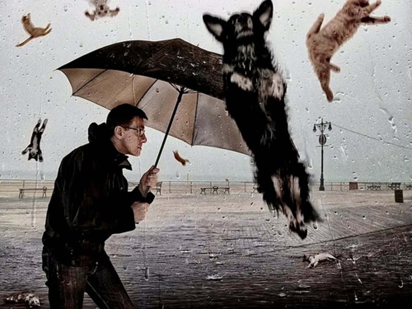<p>its raining cats and dogs</p>