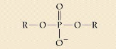 <p>compound name?</p><p>functional group/linkage?</p>