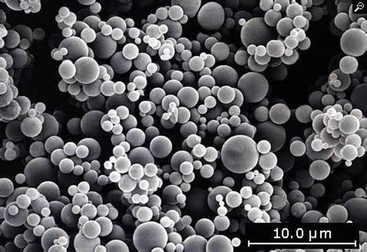 <p>microsomes</p>