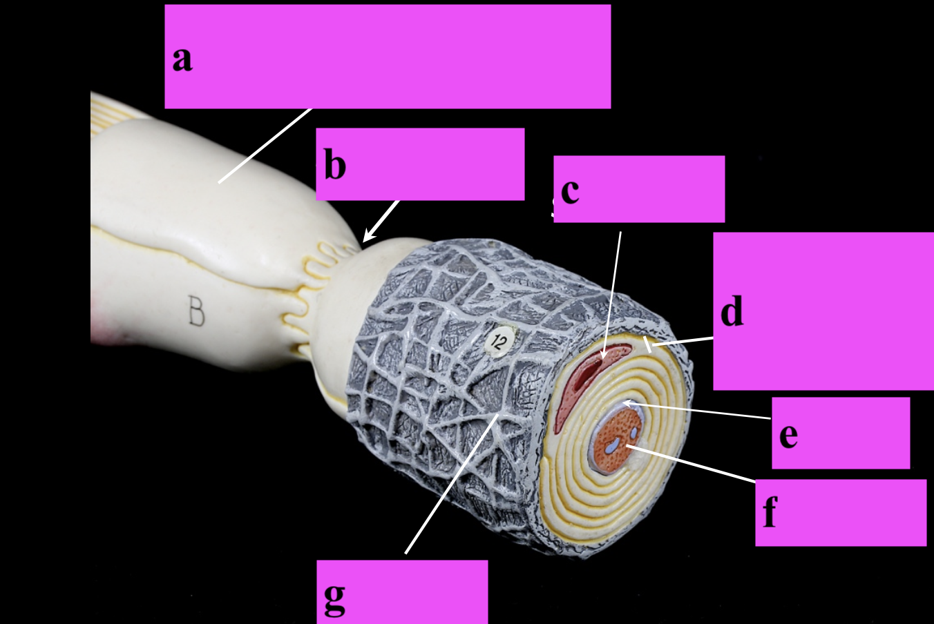 <p>a</p>