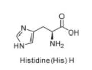 <p>H</p>