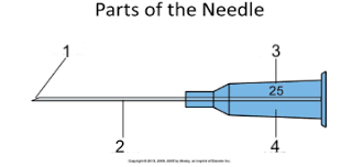<p>Label the parts of the needle</p>
