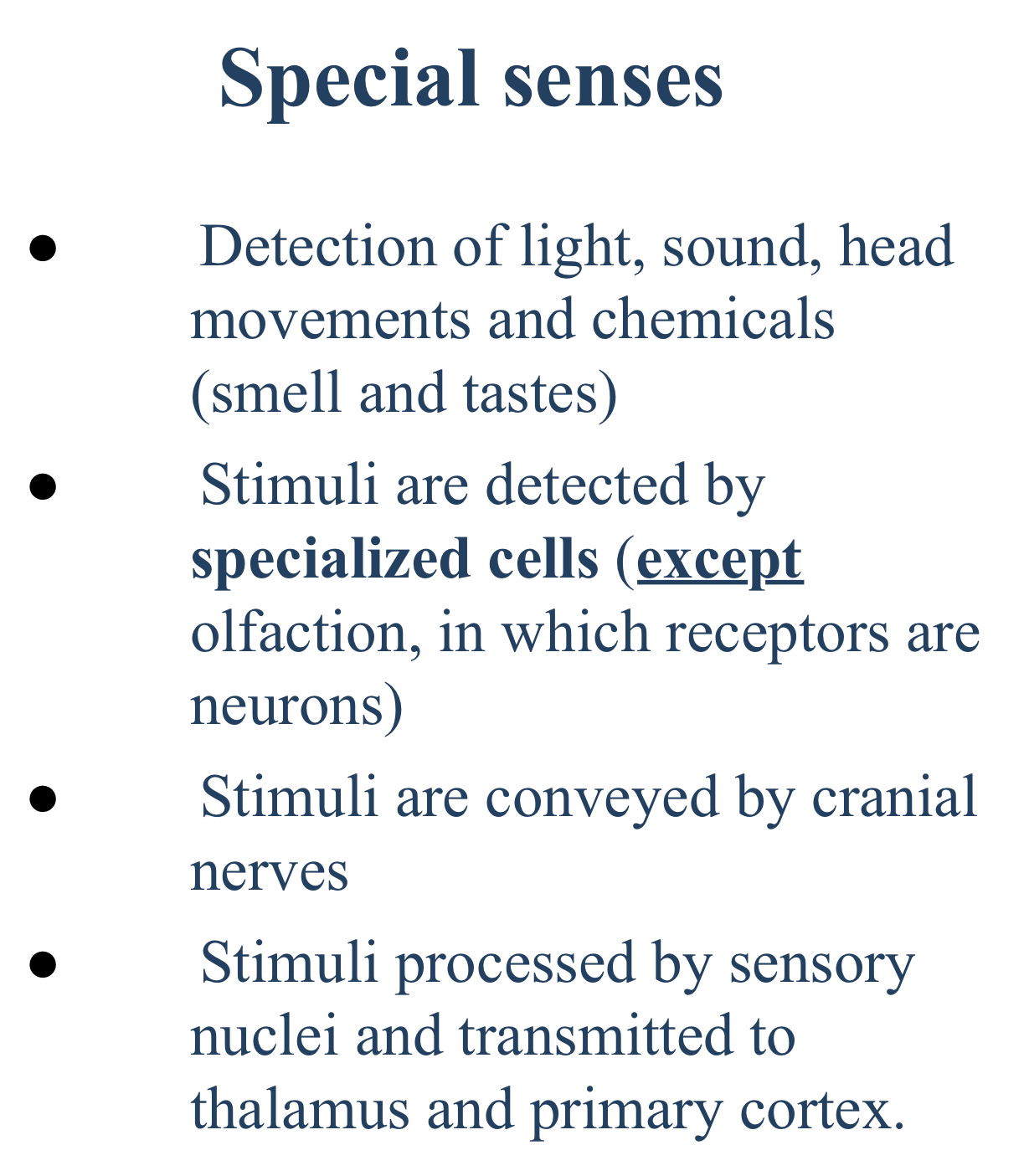 <p>Olfaction</p>
