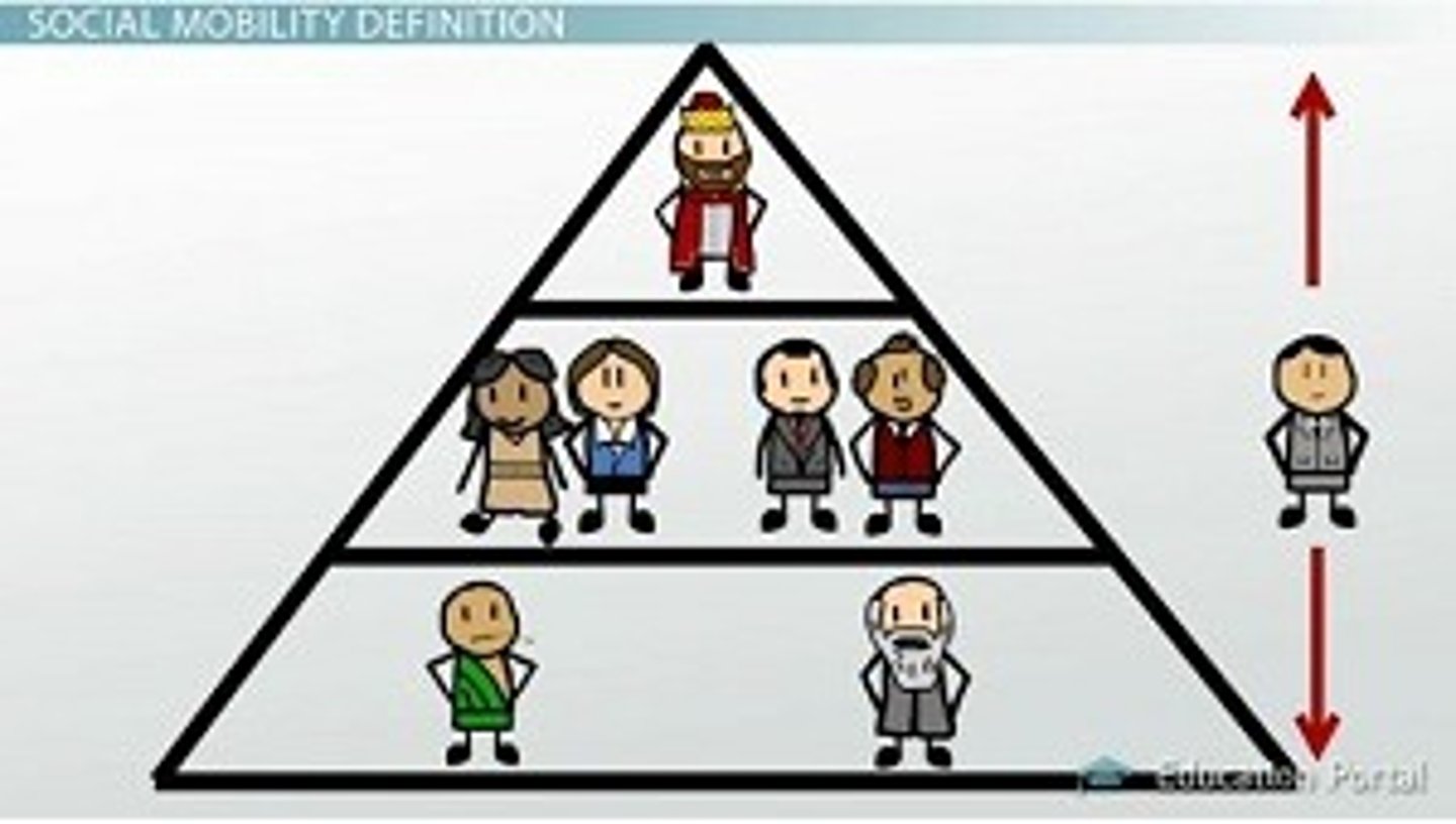 <p>Movement of individuals or groups between different social positions</p>