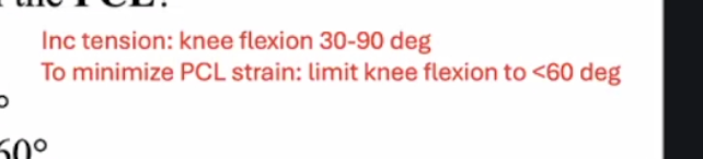 <ul><li><p>D</p></li></ul><p></p>