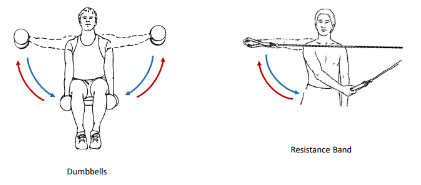 <p>These 2 isotonic exercises are called what?</p>