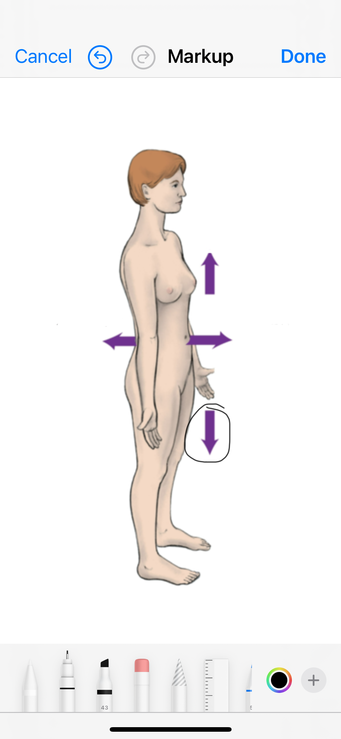 <p>Name the arrow </p>