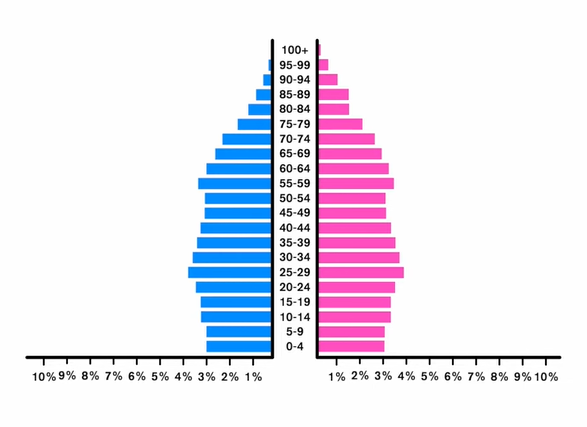 <p>looks like a not fit low body </p>
