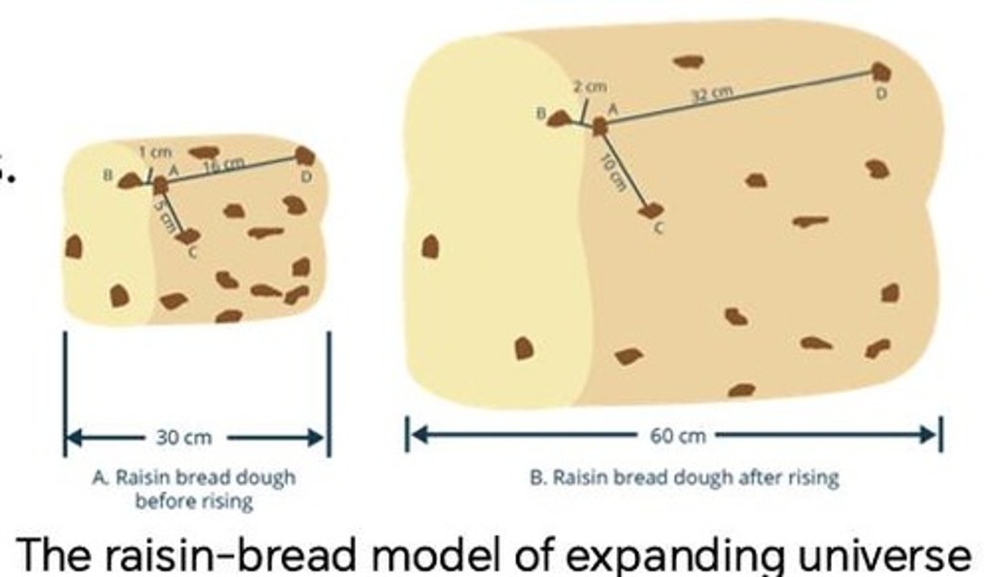 <p>The bread represents the universe, while the raisins represent galaxies that are not expanding.</p>