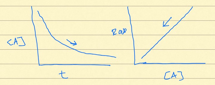 <p>Do these graphs represent a zero, first, or second-order rate?</p>