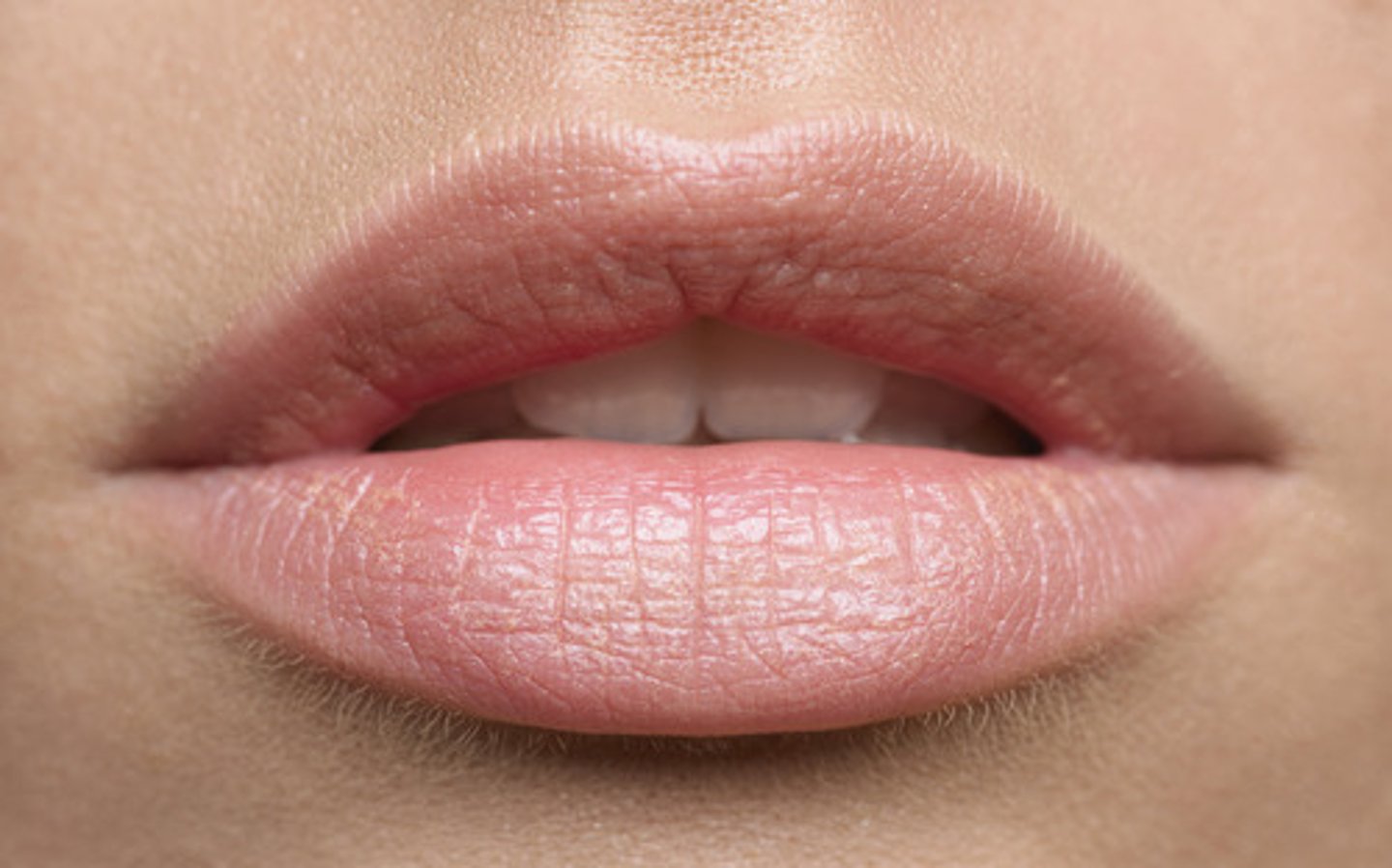 <p>lip</p>