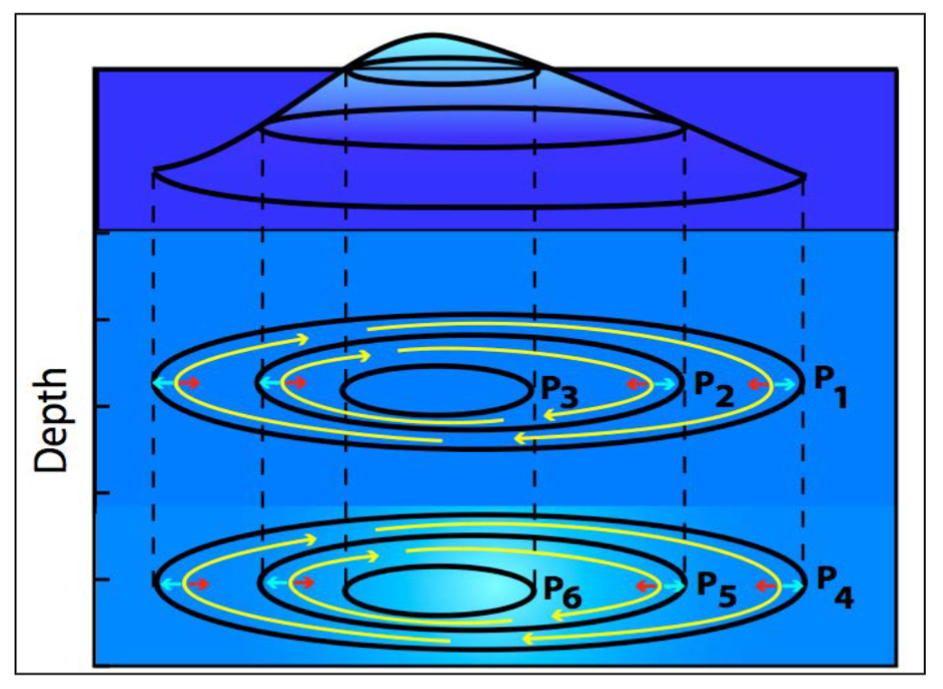 <p>what do the yellow arrows represent</p>