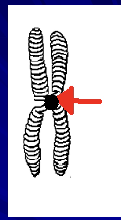 <p>what is the arrow pointing to</p>