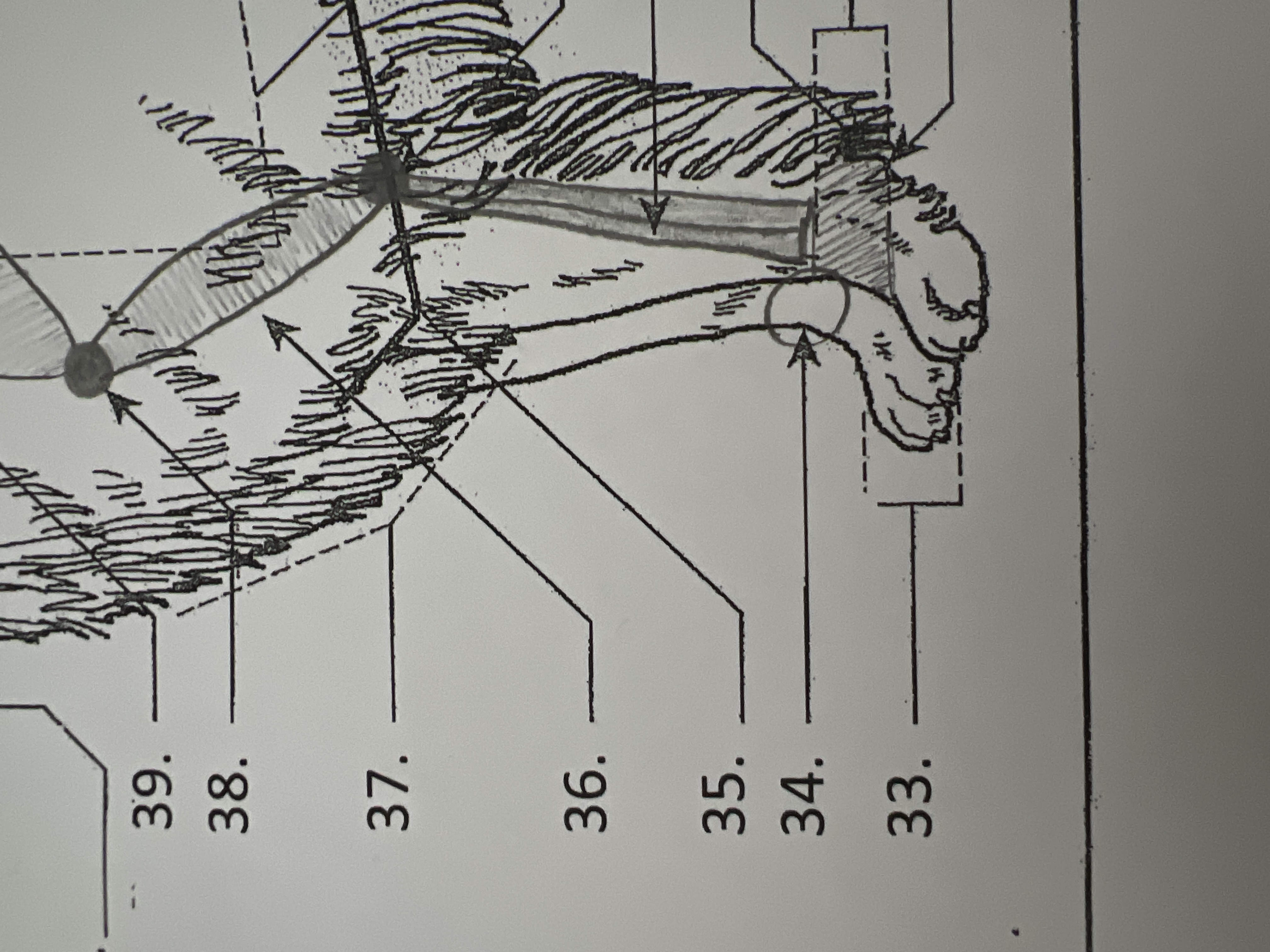 
34. \
