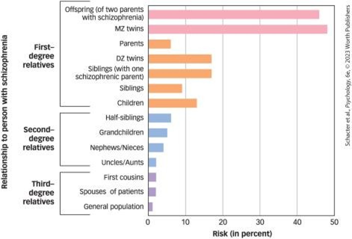 <p>The theory that schizophrenia involves an excess of dopamine activity.</p>