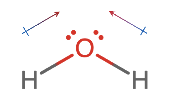 <p>note: difference in electronegativity is demonstrated by a difference in length of the arrows</p><p></p>