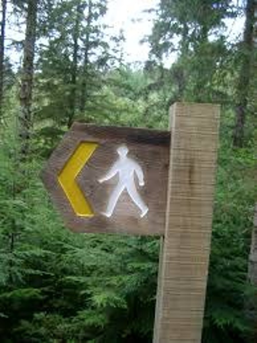 <p>toward</p>