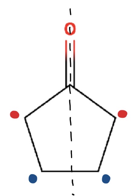 <ul><li><p>There is one line of symmetry</p></li></ul><ul><li><p>2 environments</p></li></ul><p></p>