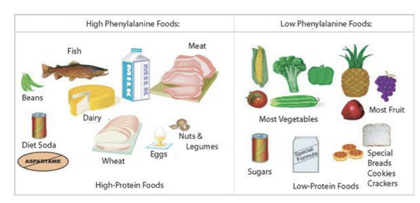 <p>Avoiding high protein diet including:</p><ul><li><p>meat and fish</p></li><li><p>eggs and cheese</p></li><li><p>nuts and seeds</p></li><li><p>flour based food: bread, pasta, cakes, and biscuits</p></li><li><p>soya, quorn, and tofu</p></li></ul><p>Regular blood test are taken to check blood levels of phenylalanine</p><p></p>