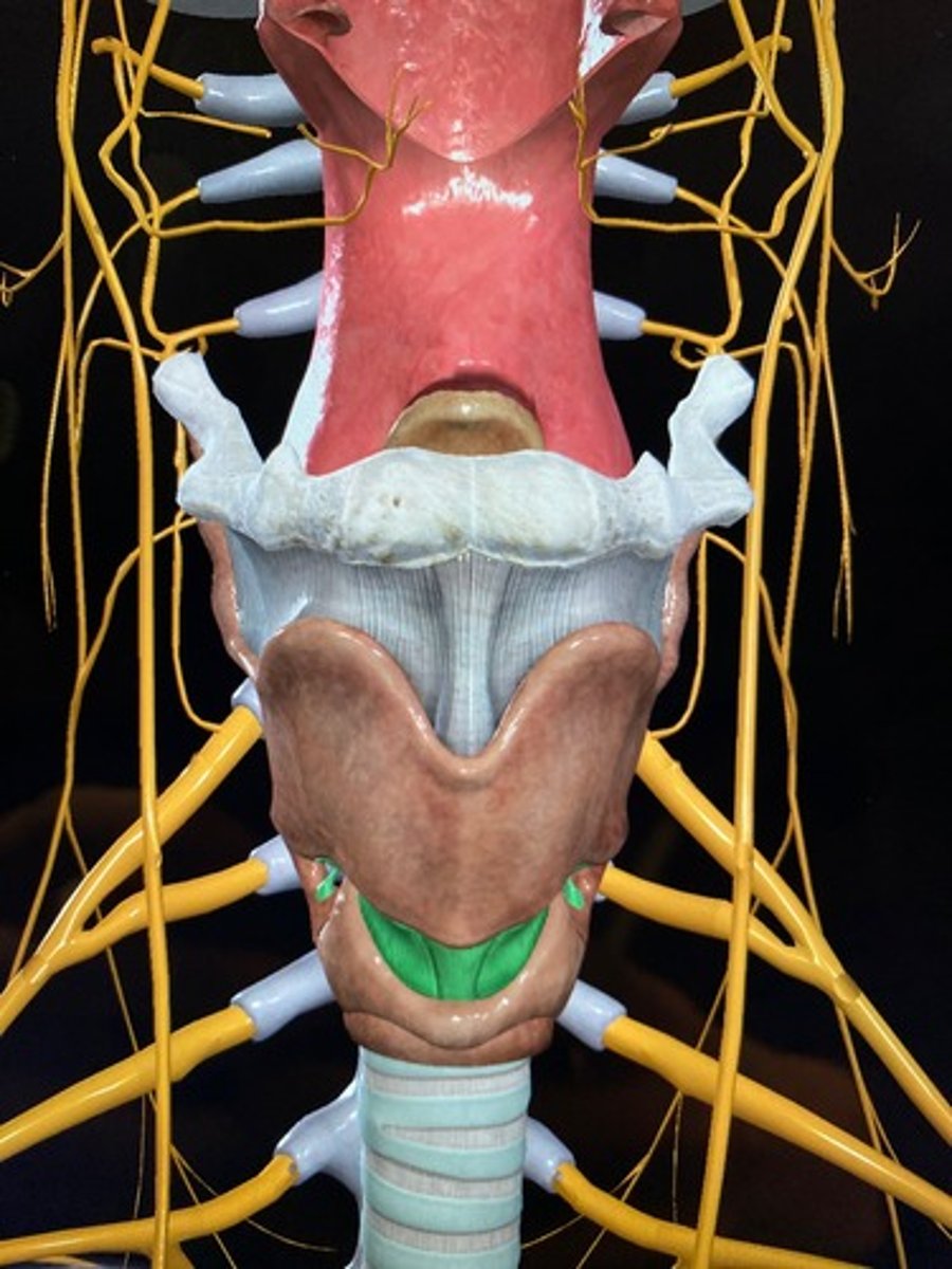 <p><em>identify the structure:</em></p>