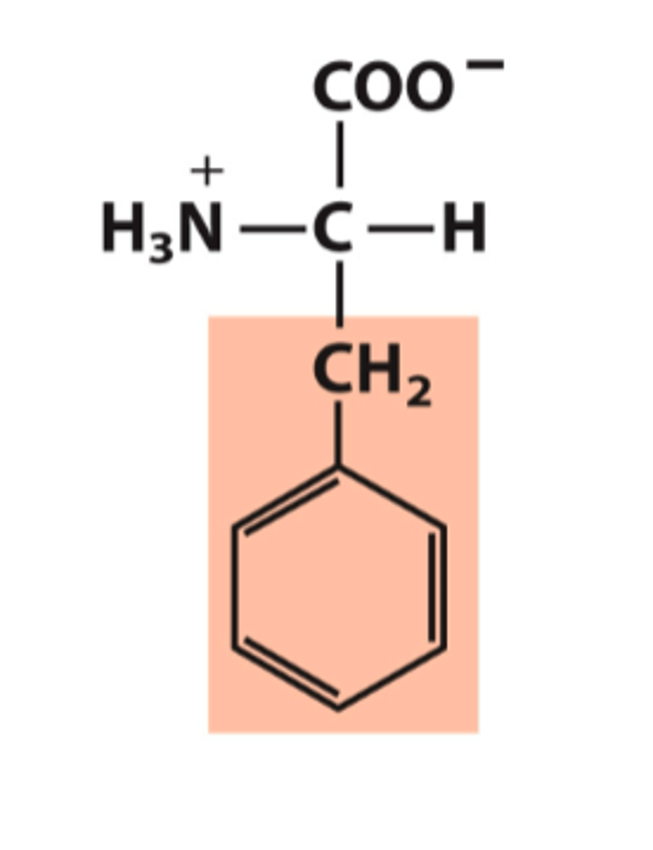 <p>What amino acid is this?</p>