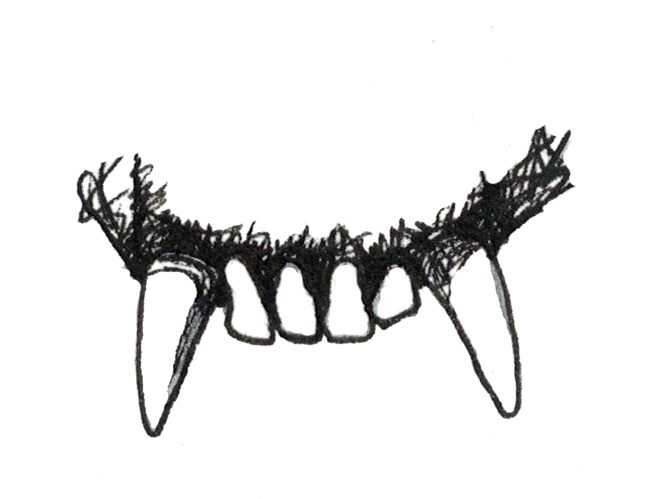 <p><span style="background-color: transparent;"><strong><span>A primate that eats primarily leaves would have what type of teeth? What kind of diet is this?</span></strong></span></p>