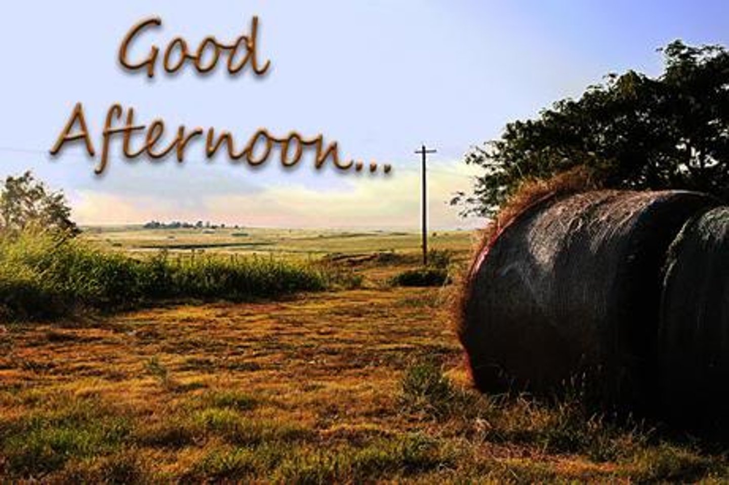 <p>The afternoon - Buổi chiều</p>