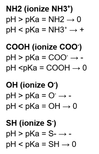 <p><span><u>To determine the charge on an ionizable group, we need</u></span></p><ol><li><p><span>pKa of ionizable group</span></p></li><li><p><span>pH</span></p></li></ol><p></p>