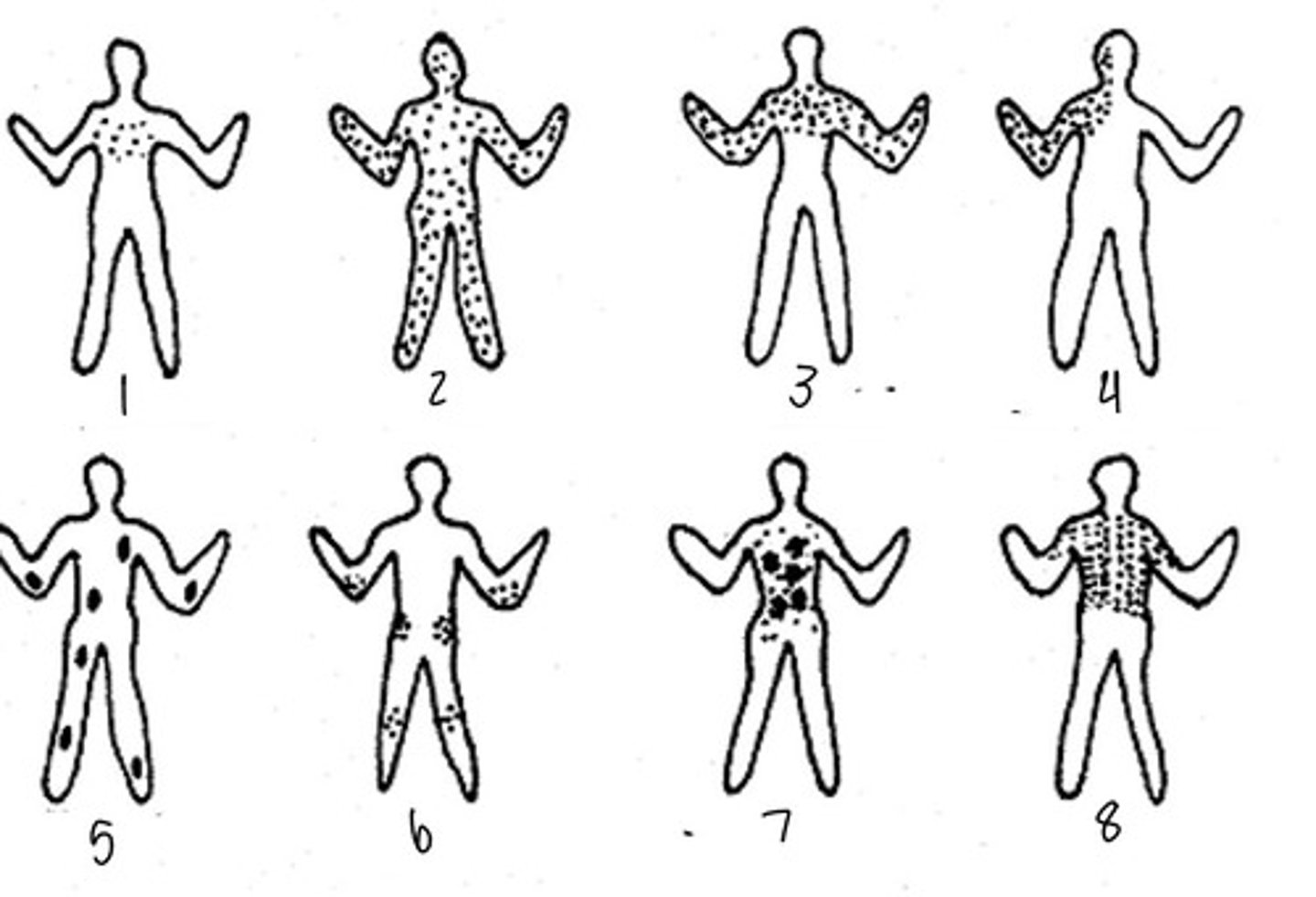 <p>7</p>
