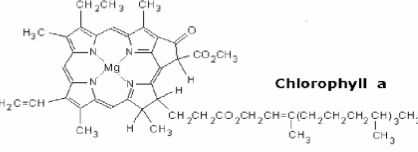<p>violet and orange</p><ul><li><p>H<sub>3</sub>C</p></li></ul><p></p>