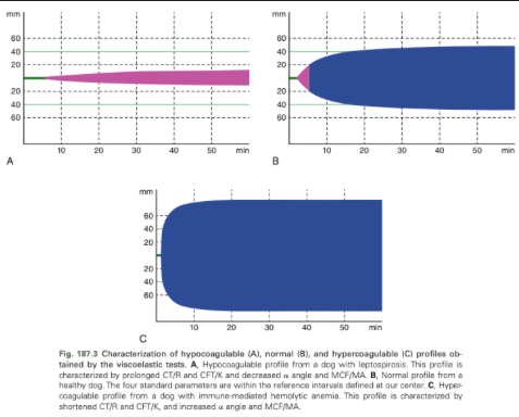 <p>Shortened CT/R or CFT/K or increased a angle or MCF/MA</p>